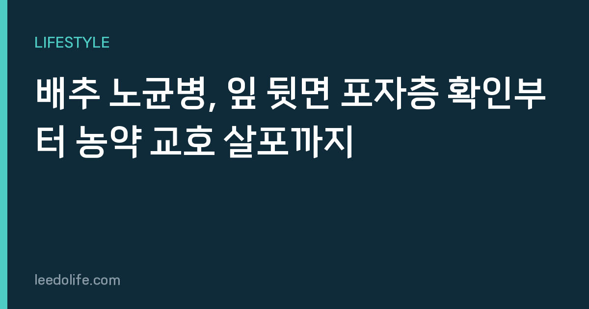 배추 노균병, 잎 뒷면 포자층 확인부터 농약 교호 살포까지