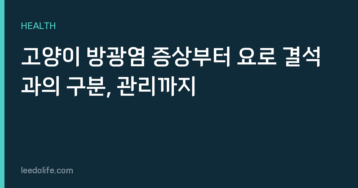 고양이 방광염 증상부터 요로 결석과의 구분, 관리까지