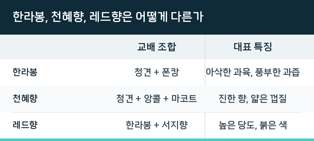 한라봉, 천혜향, 레드향은 어떻게 다른가
