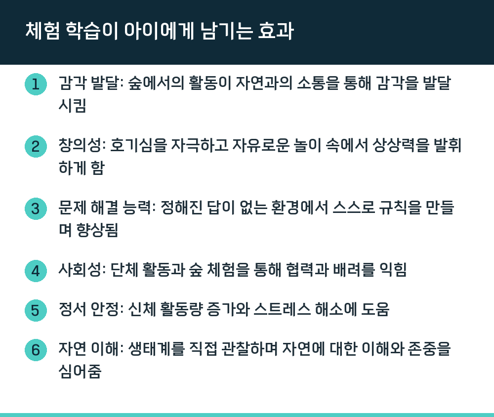 체험 학습이 아이에게 남기는 효과