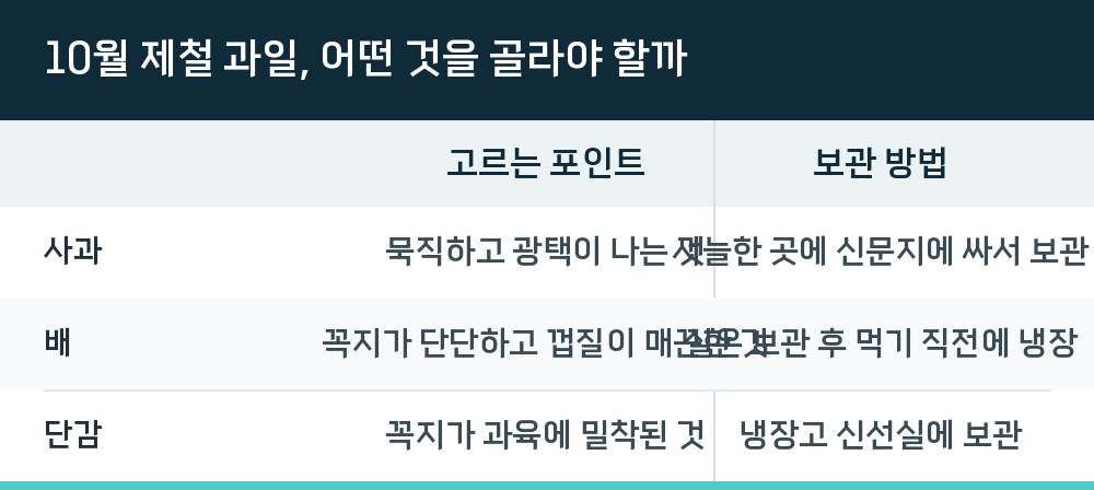 10월 제철 과일, 어떤 것을 골라야 할까