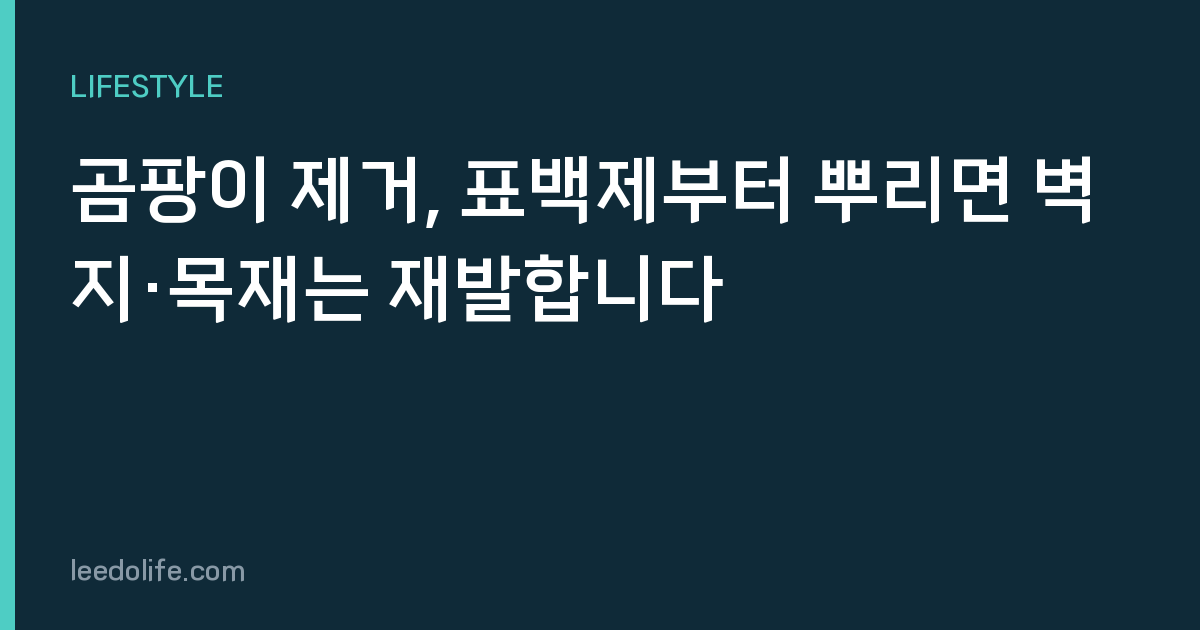 곰팡이 제거, 표백제부터 뿌리면 벽지·목재는 재발합니다