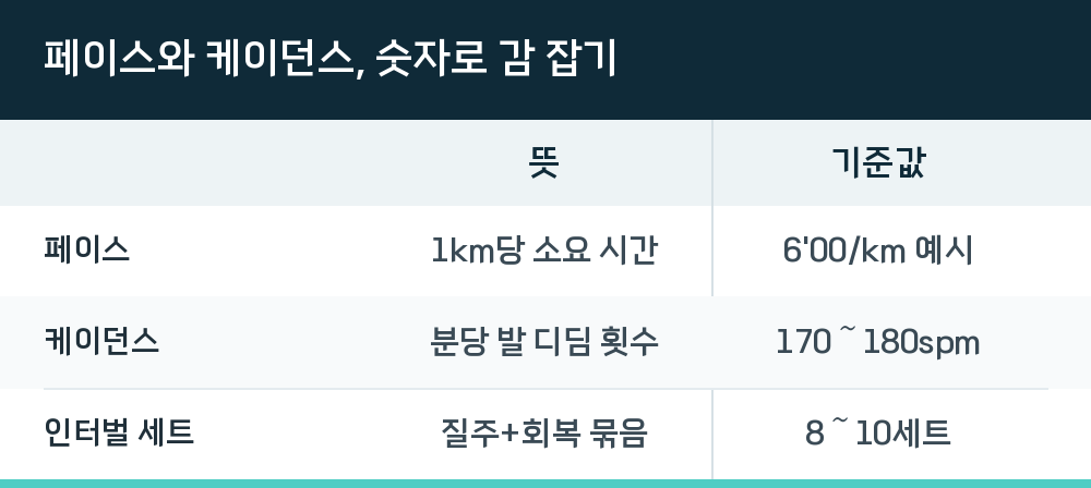페이스와 케이던스, 숫자로 감 잡기