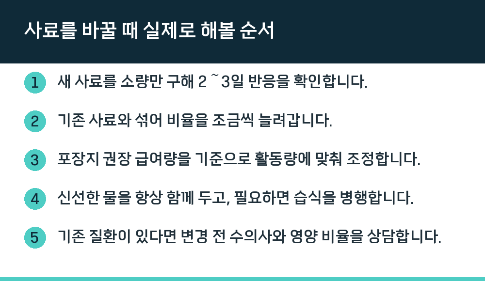 사료를 바꿀 때 실제로 해볼 순서