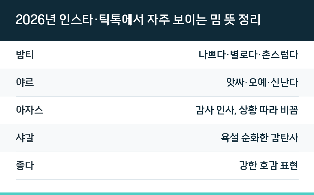 2026년 인스타·틱톡에서 자주 보이는 밈 뜻 정리
