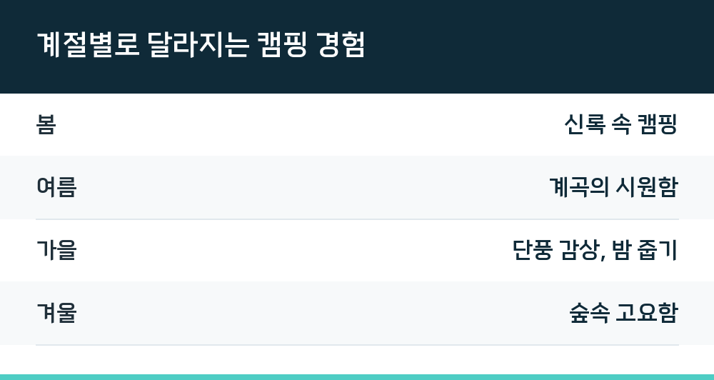 계절별로 달라지는 캠핑 경험