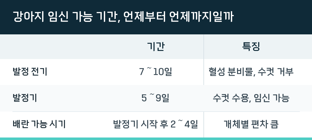 강아지 임신 가능 기간, 언제부터 언제까지일까