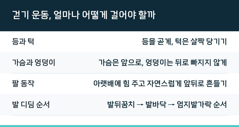 걷기 운동, 얼마나 어떻게 걸어야 할까