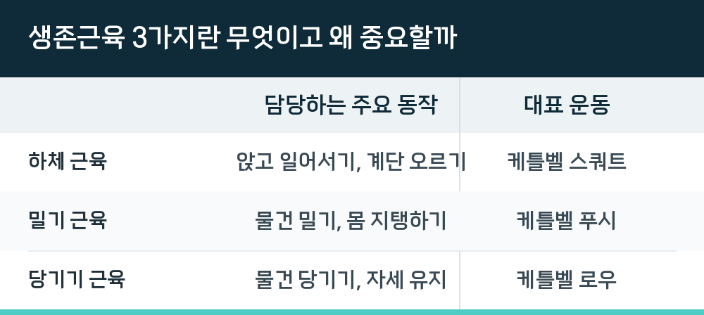 생존근육 3가지란 무엇이고 왜 중요할까