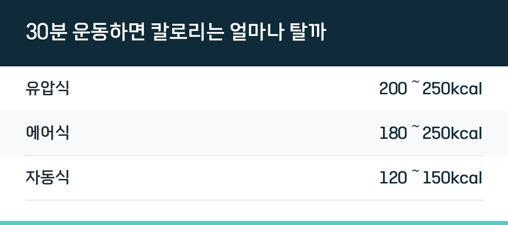 30분 운동하면 칼로리는 얼마나 탈까