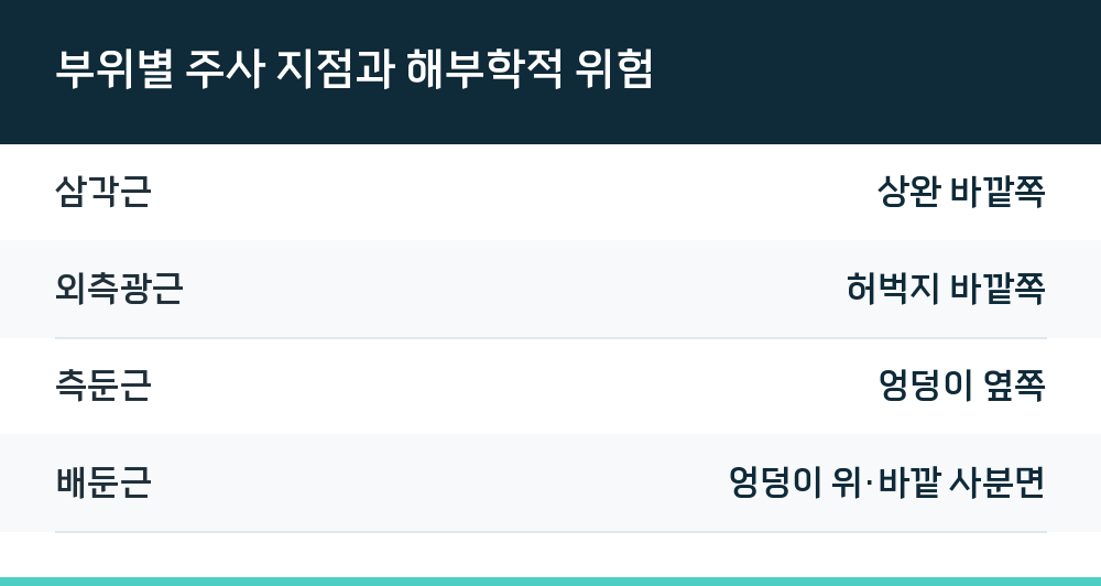 부위별 주사 지점과 해부학적 위험