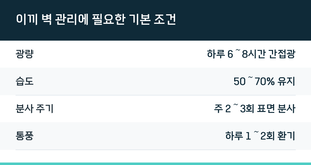 이끼 벽 관리에 필요한 기본 조건