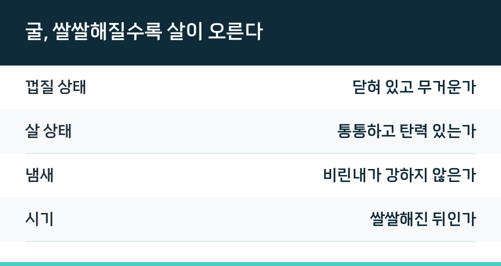 굴, 쌀쌀해질수록 살이 오른다