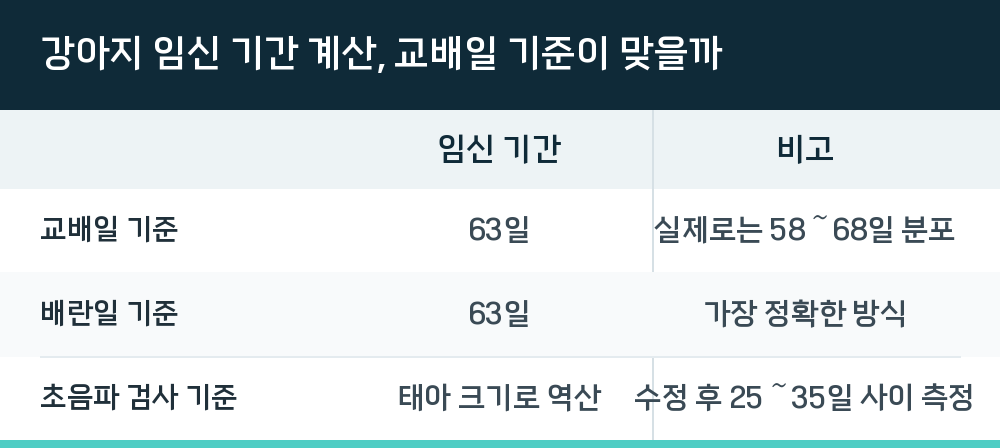 강아지 임신 기간 계산, 교배일 기준이 맞을까