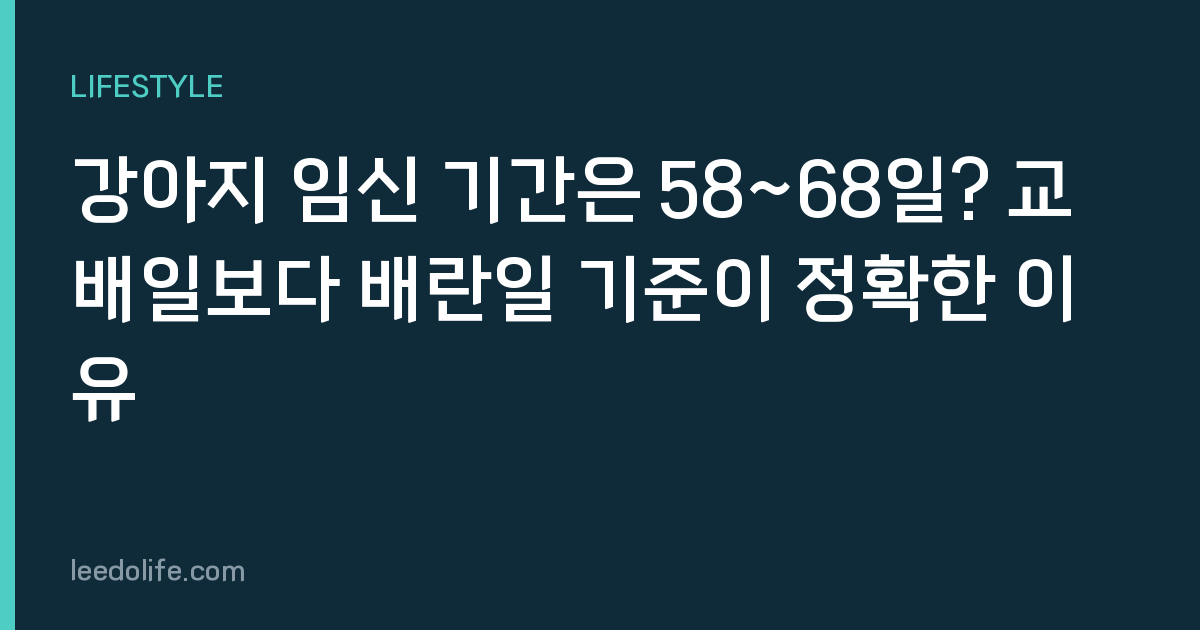 강아지 임신 기간은 58~68일? 교배일보다 배란일 기준이 정확한 이유