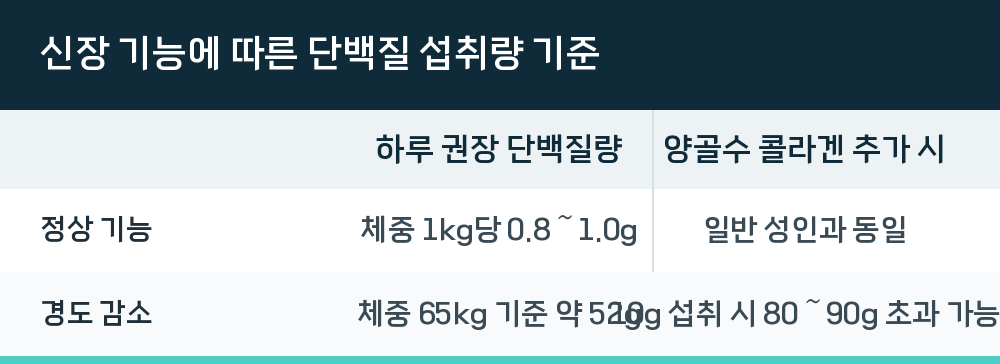 신장 기능에 따른 단백질 섭취량 기준