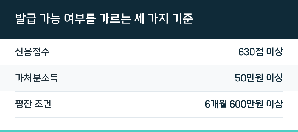 발급 가능 여부를 가르는 세 가지 기준