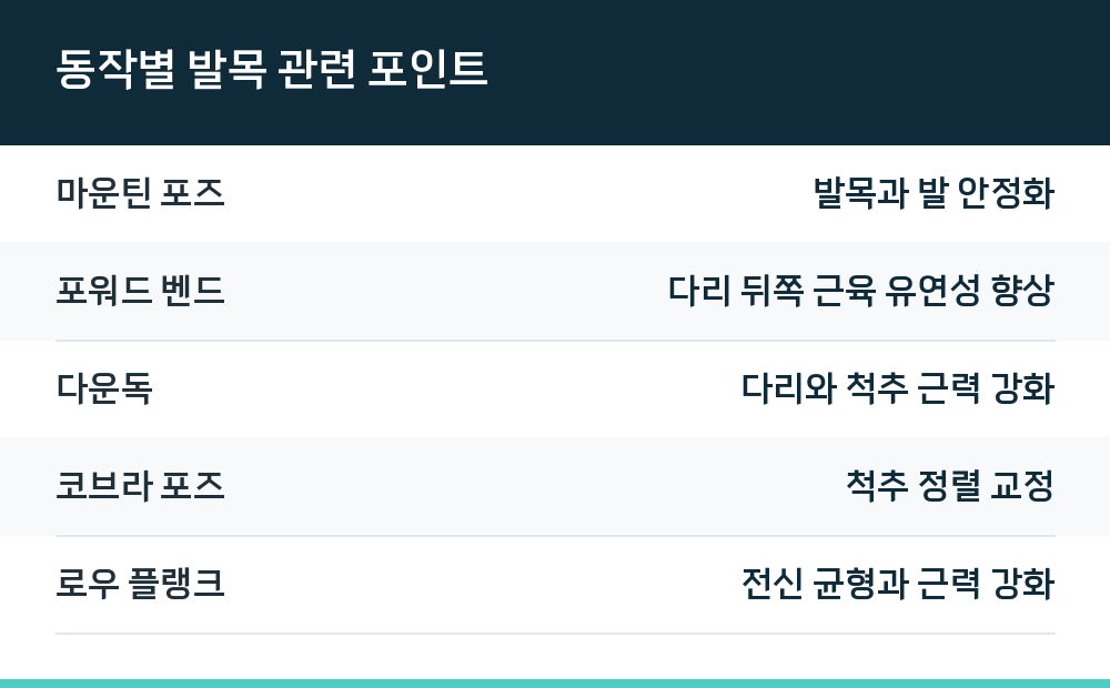 동작별 발목 관련 포인트