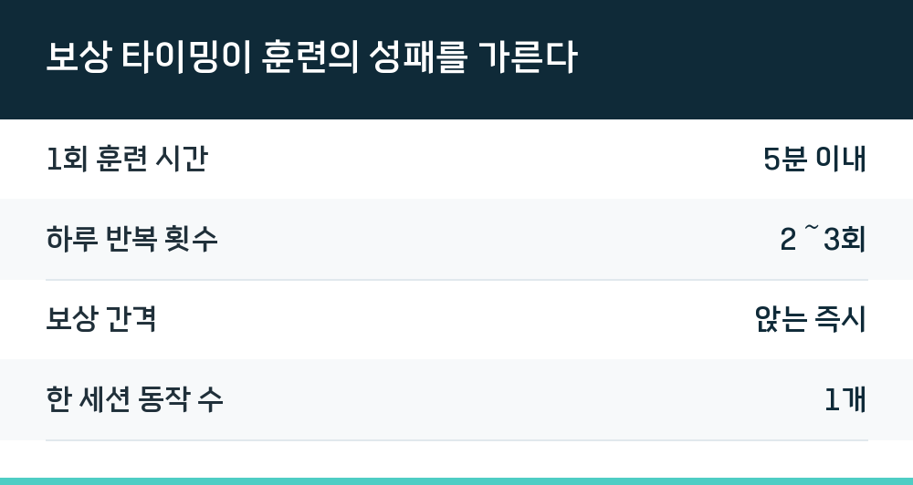 보상 타이밍이 훈련의 성패를 가른다