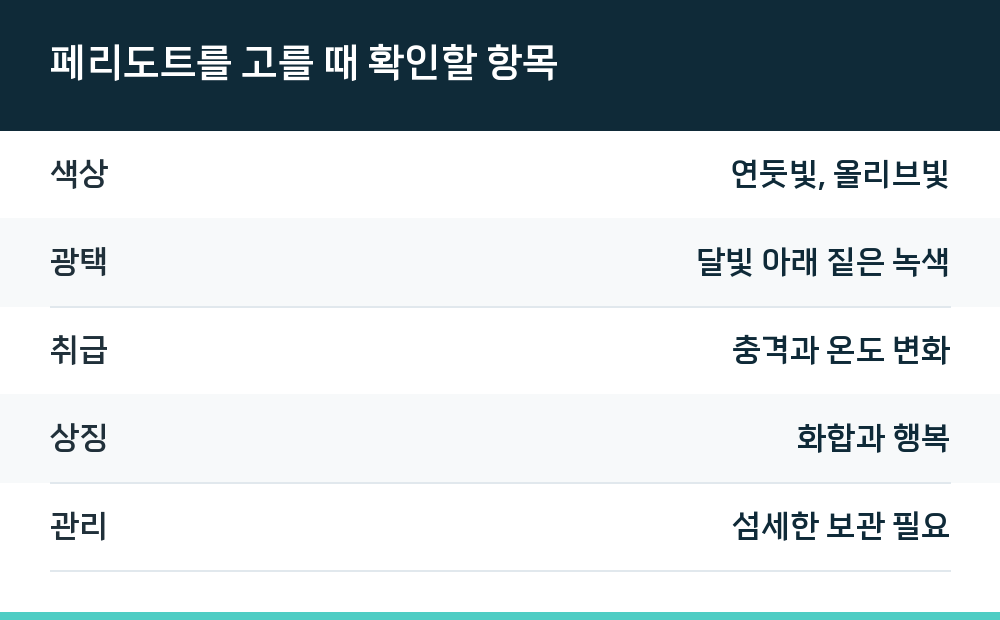 페리도트를 고를 때 확인할 항목
