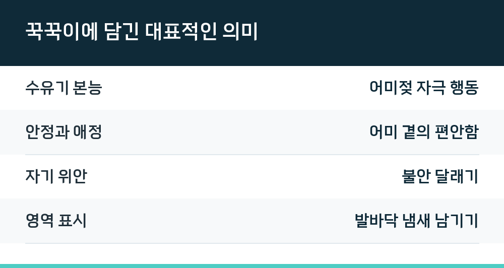 꾹꾹이에 담긴 대표적인 의미