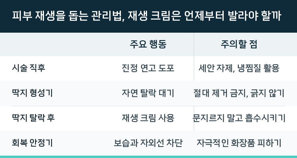 피부 재생을 돕는 관리법, 재생 크림은 언제부터 발라야 할까