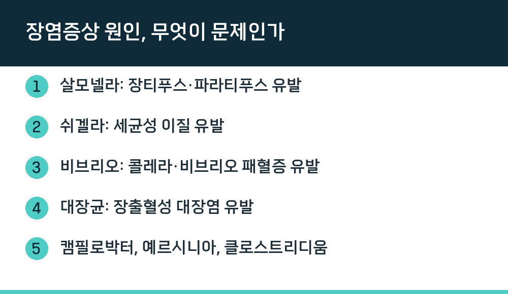 장염증상 원인, 무엇이 문제인가