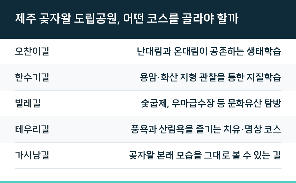 제주 곶자왈 도립공원, 어떤 코스를 골라야 할까