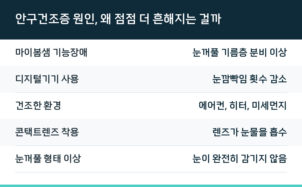 안구건조증 원인, 왜 점점 더 흔해지는 걸까
