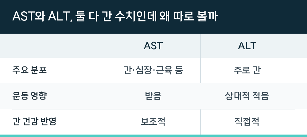 AST와 ALT, 둘 다 간 수치인데 왜 따로 볼까