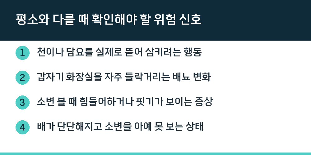 평소와 다를 때 확인해야 할 위험 신호