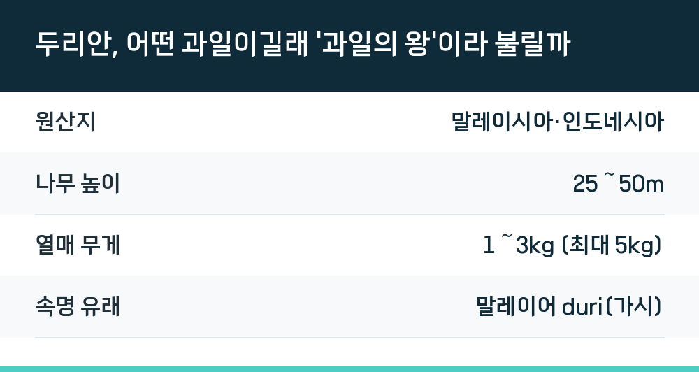 두리안, 어떤 과일이길래 '과일의 왕'이라 불릴까