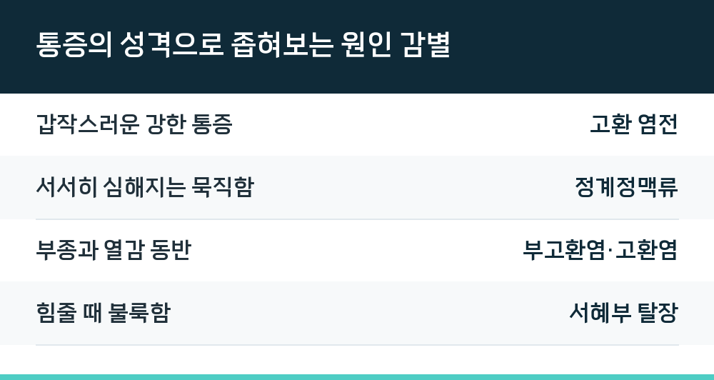 통증의 성격으로 좁혀보는 원인 감별