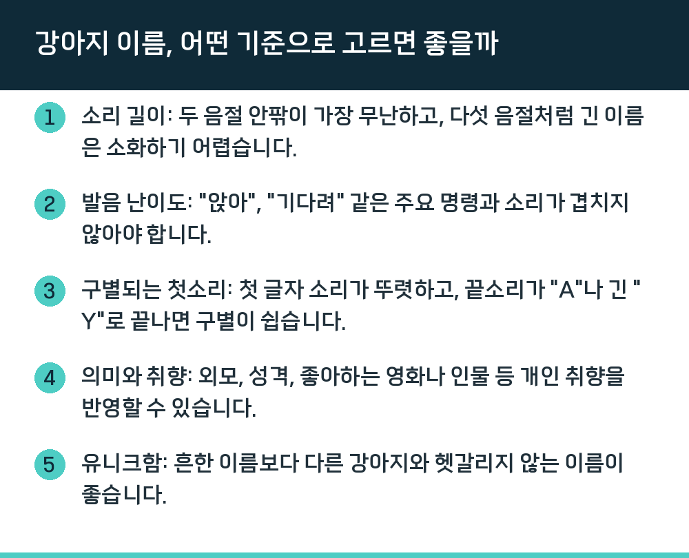 강아지 이름, 어떤 기준으로 고르면 좋을까