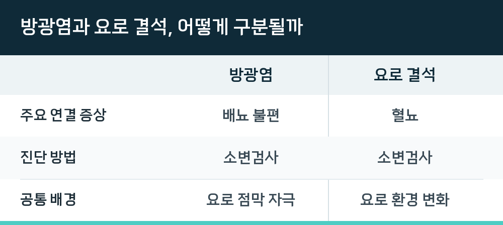 방광염과 요로 결석, 어떻게 구분될까