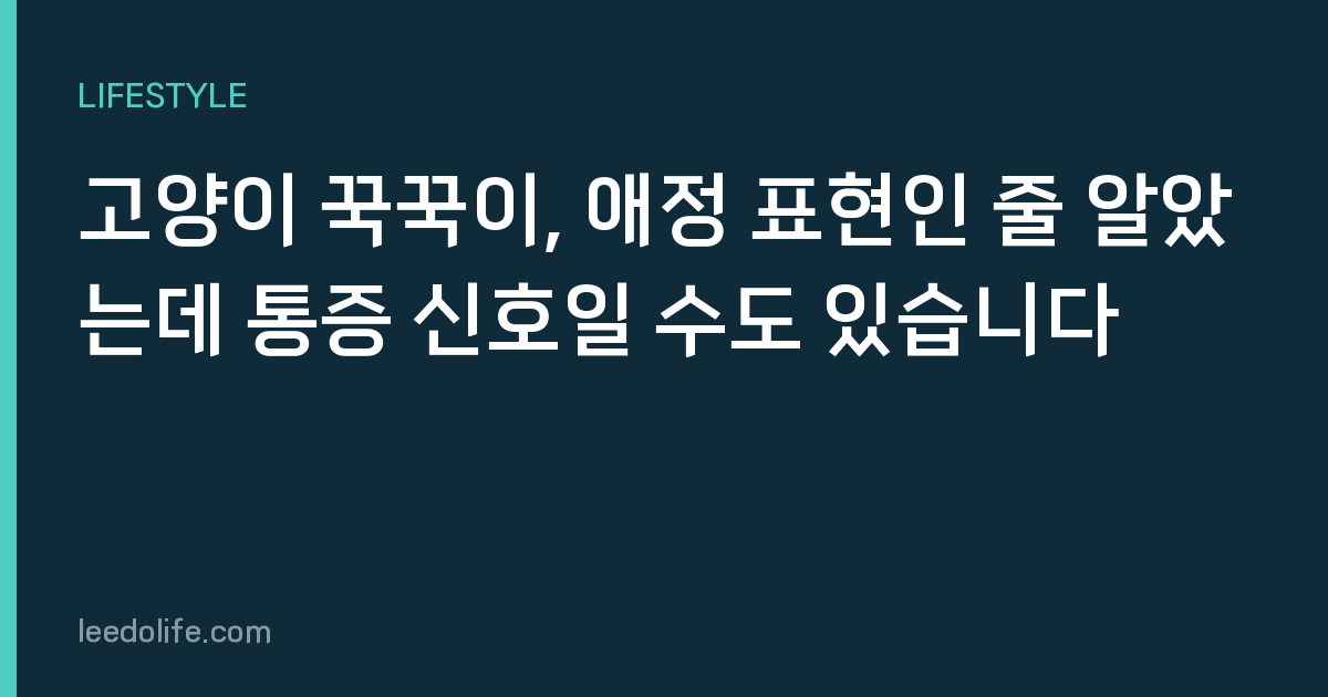 고양이 꾹꾹이, 애정 표현인 줄 알았는데 통증 신호일 수도 있습니다