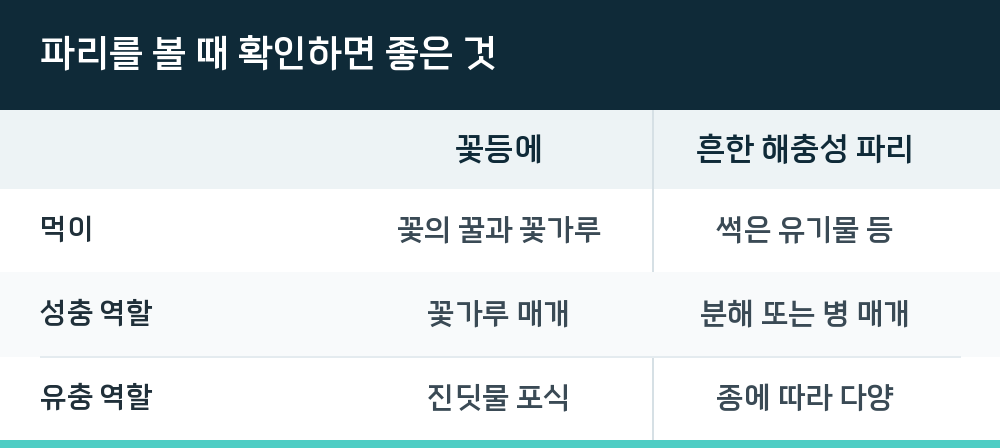 파리를 볼 때 확인하면 좋은 것