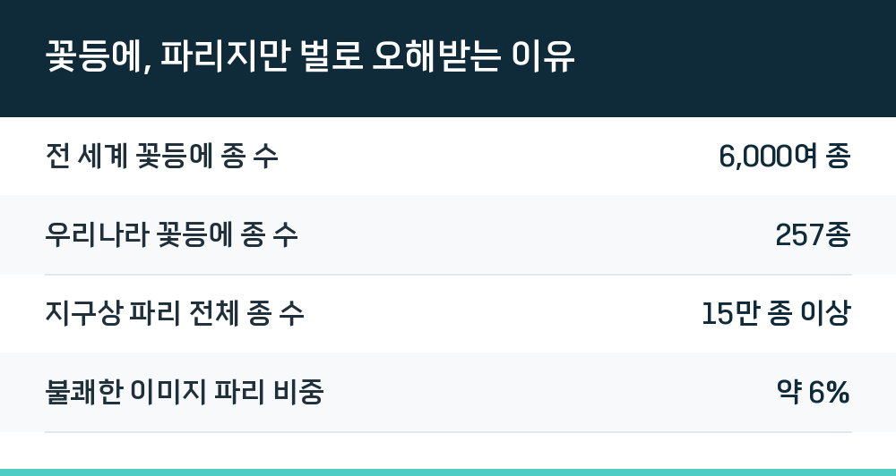꽃등에, 파리지만 벌로 오해받는 이유