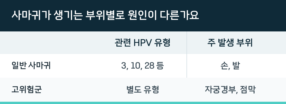 사마귀가 생기는 부위별로 원인이 다른가요