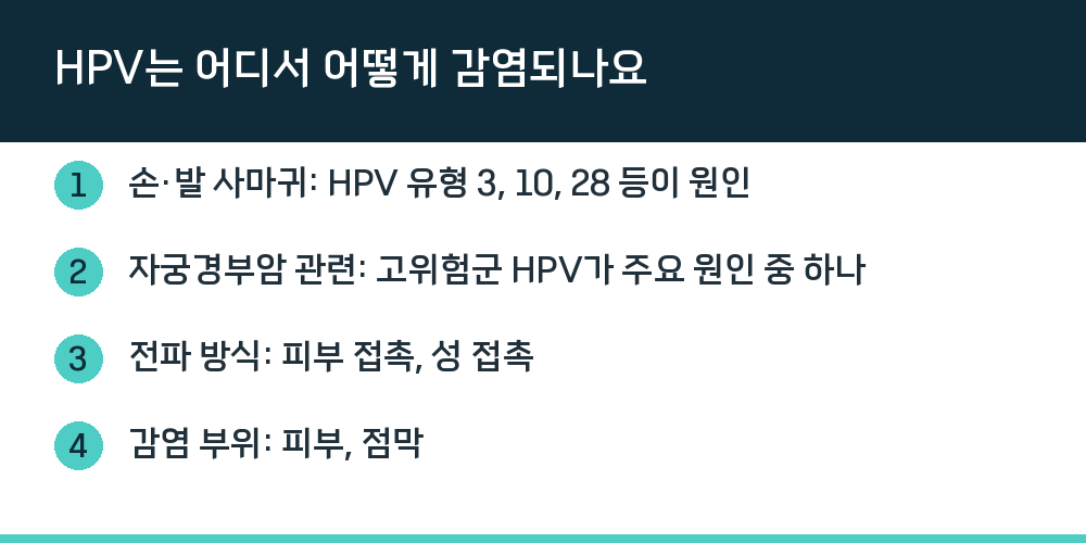 HPV는 어디서 어떻게 감염되나요