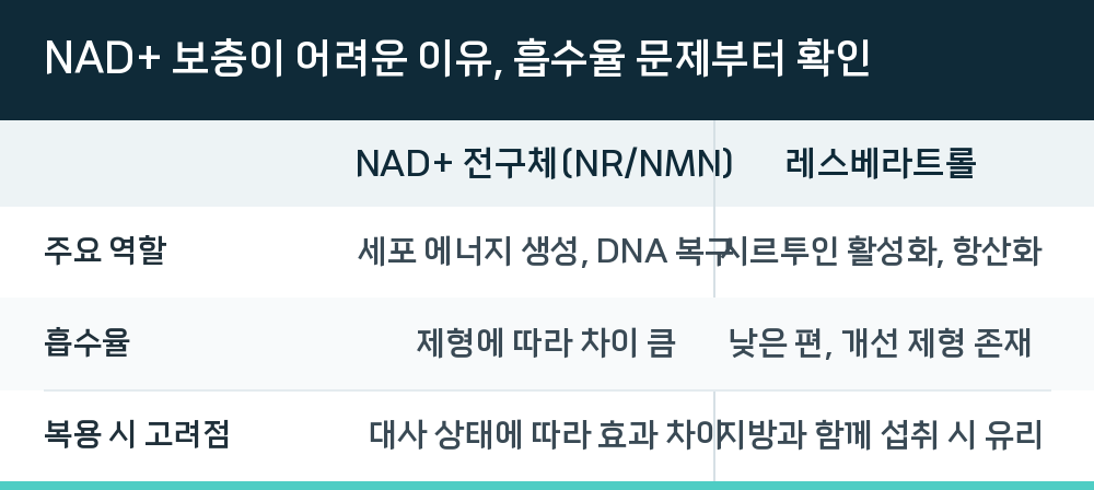 NAD+ 보충이 어려운 이유, 흡수율 문제부터 확인