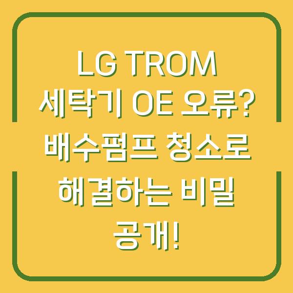 LG TROM 세탁기 OE 오류? 배수펌프 청소로 해결하는 비밀 공개!