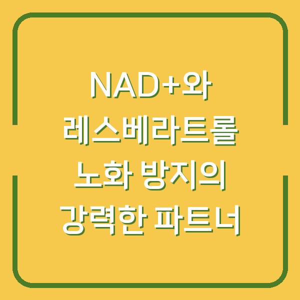 NAD+와 레스베라트롤 노화 방지의 강력한 파트너