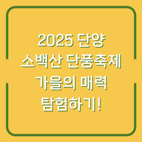 2025 단양 소백산 단풍축제 가을의 매력 탐험하기!