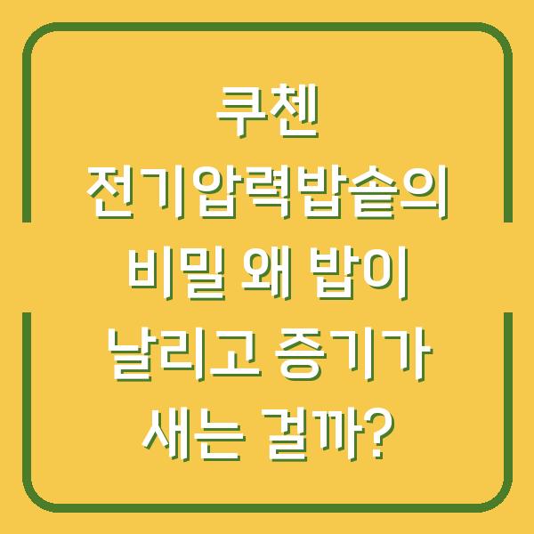 쿠첸 전기압력밥솥의 비밀 왜 밥이 날리고 증기가 새는 걸까?