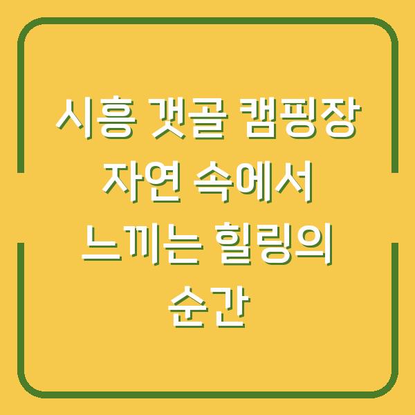시흥 갯골 캠핑장 자연 속에서 느끼는 힐링의 순간