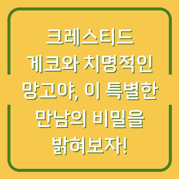 크레스티드 게코와 치명적인 망고야, 이 특별한 만남의 비밀을 밝혀보자!