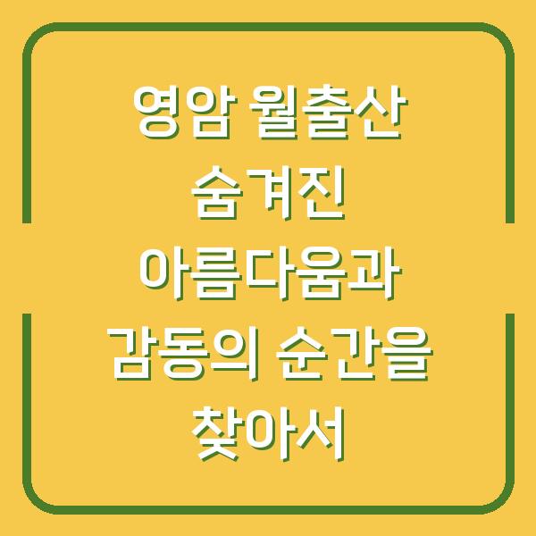 영암 월출산 숨겨진 아름다움과 감동의 순간을 찾아서