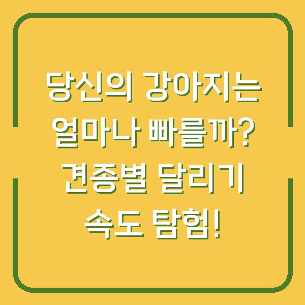 당신의 강아지는 얼마나 빠를까? 견종별 달리기 속도 탐험!