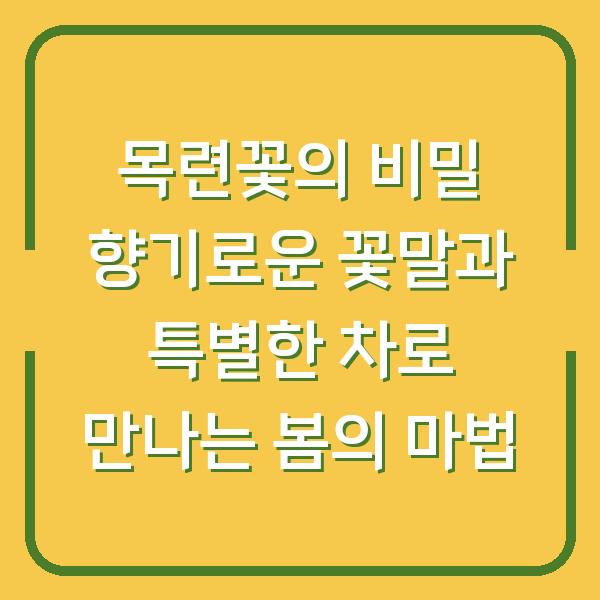 목련꽃의 비밀 향기로운 꽃말과 특별한 차로 만나는 봄의 마법